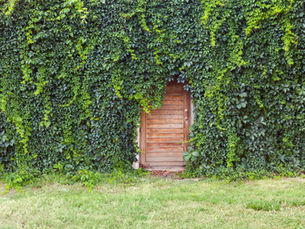 Hidden home with a secret door