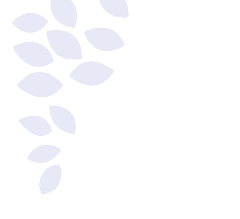 GoDaddyStudioPage-0 30.png