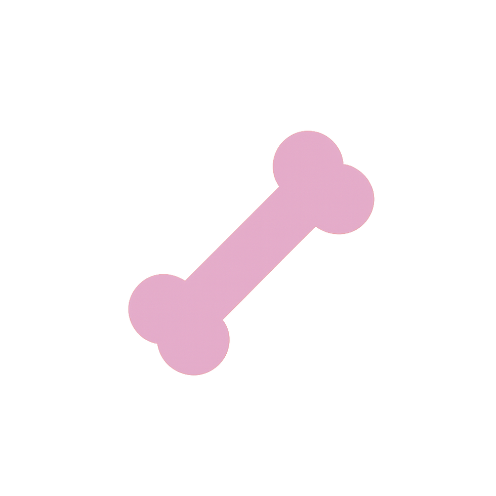 ChatGPT Image 6 jul 2025, 12_44_28 p.m..png