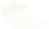 GoDaddyStudioPage-0 12.png
