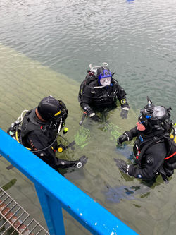divers at surface