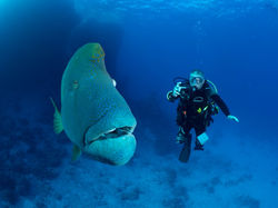 Christal Seas Egypt April 2019-102 (Medi