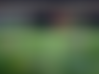 Adelantan parte de la jornada 9 de la Liga Mx.