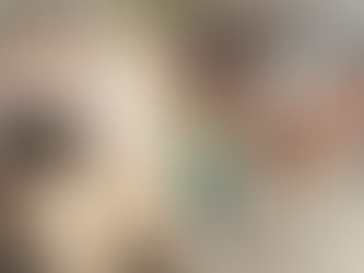 Albergue animal en Edomex solicita protección tras amenazas y extorsiones