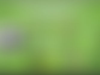 Resultados de la Jornada 4 de la Liga MX Clausura 2024.