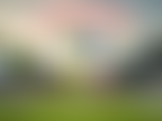 Chivas gana y espera rival en la Concachampions