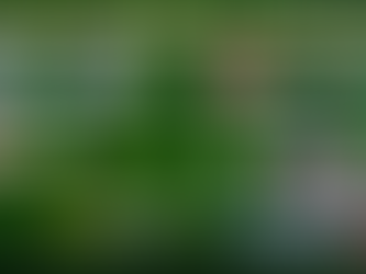 Pachuca Nuevo Líder y Chivas Pierde