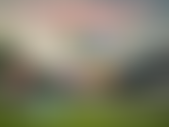 Que le paso al Toluca FRACASO, Monterrey Clasifica.