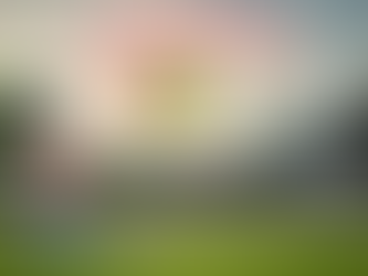 ¡¡¡La Concachampions inicia hoy!!!