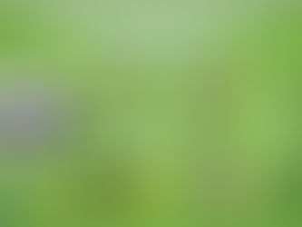 Reanudan el resto de la jornada 4 de la Liga Mx