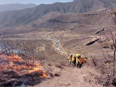 Incendios forestales arrasan durante Semana Santa en México.
