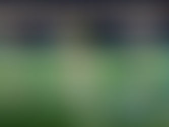 El balón comienza a rodar en la Liga MX 2024.