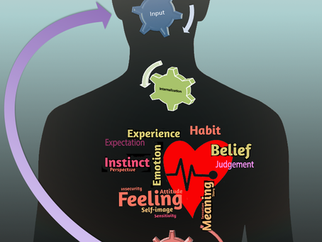 Harmony Within: The Mind-Body Connection and Its Impact on Physical Fitness