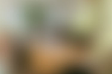 Zubau - Wintergarten in Grantsch