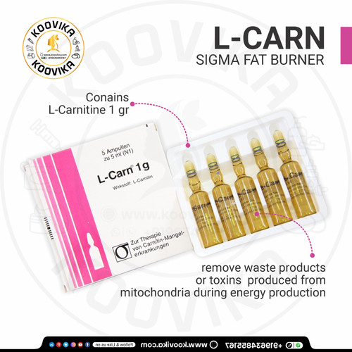 sigma l carnitine Sigma > ?-Carnitine inner salt | 코랩샵 KOLAB