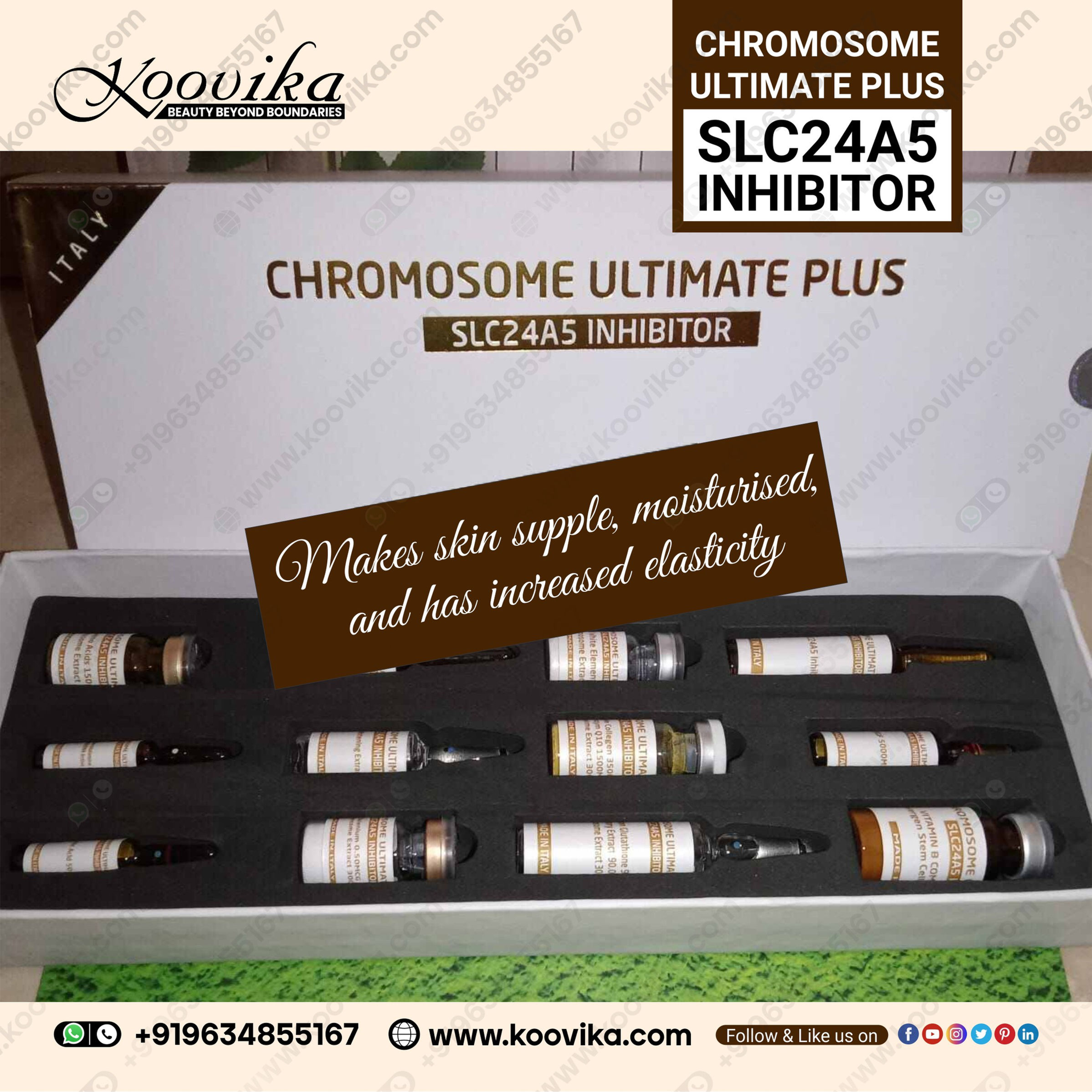 CHROMOSOME ULTIMATE PLUS SLC24A5 INHIBITORS