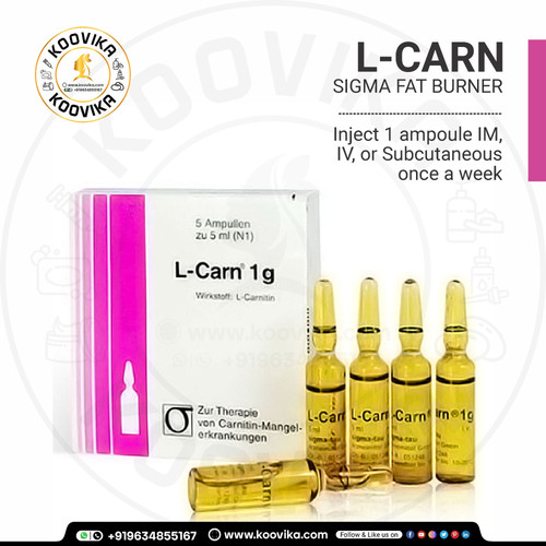 L-CARN SIGMA FAT BURNER