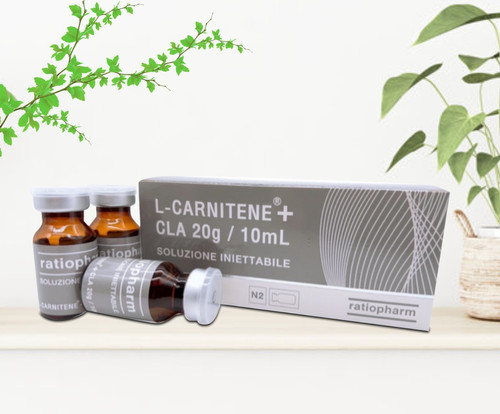 L-CARNITINE 180錠×28個 L-Carnitine