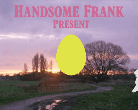 handsome frank a little film about