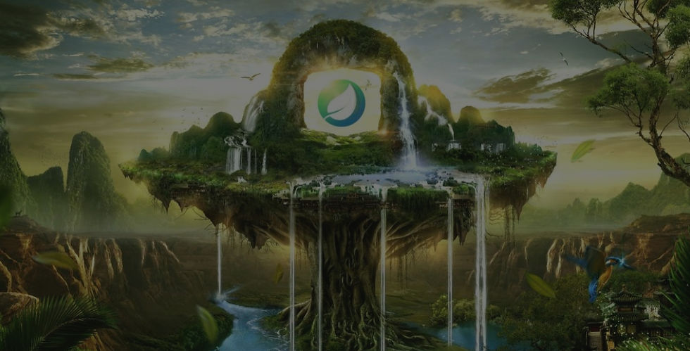 Five reasons to choose Green Meta