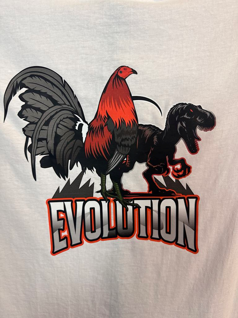 Thumbnail: Evolution II