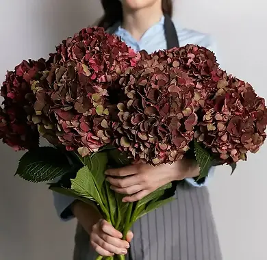 Floristería la alquería Valencia.webp