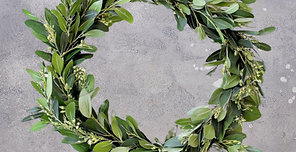 crown of alloro Laurel Wreath