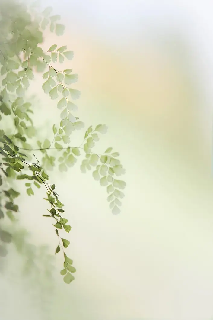 spring-g9174ac148_1280.webp