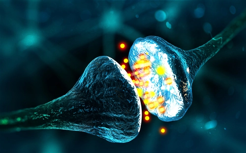 Experiencing dopamine to overcome boredom in relationships