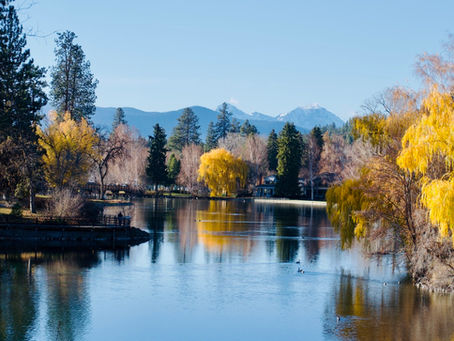 Engaging Nature Activities for Kids Outdoor Learning Activities