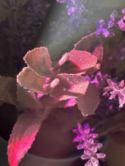 There is Light Where The Darkness Lays