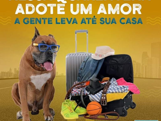 Adoção de animais por delivery