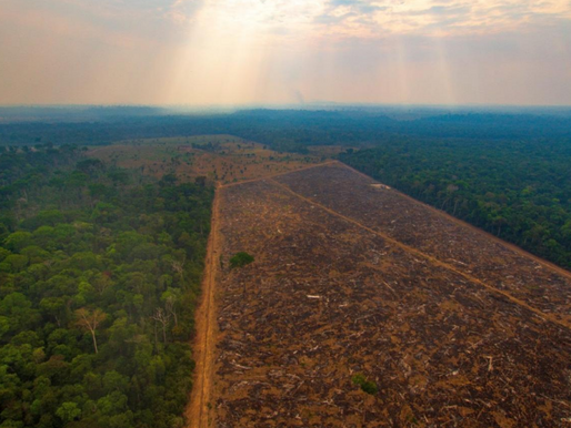 Amazônia perdeu uma área de 724 mil km² em 33 anos