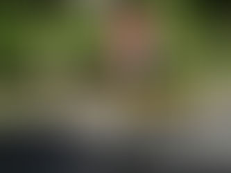Cão Robô é usado para patrulha de distanciamento social em Singapura