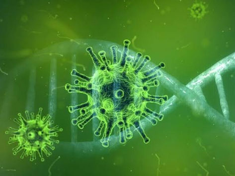 Caso de variante indiana é confirmado no Rio de Janeiro