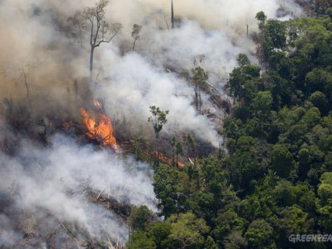 Ibama divulga nota sobre 'Exaustão de recursos'
