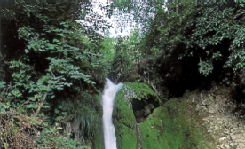 fr3.gif