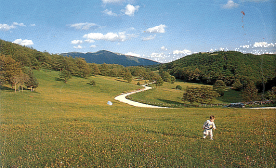 fr8.gif