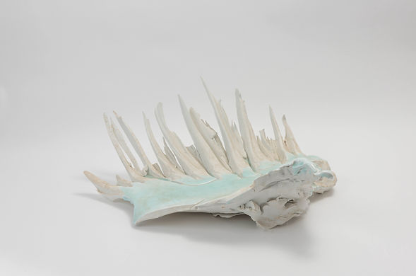 Freeze Flame_500.jpeg