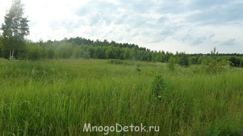 P1090953.JPG