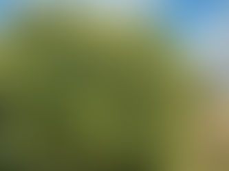 The Zodwa Khoza Foundation