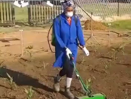 Backsaver video no 2