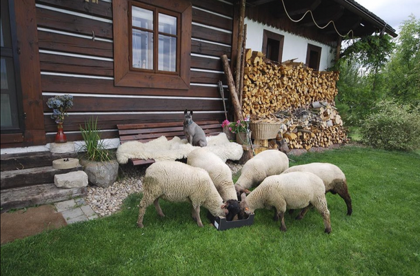 Snímek obrazovky 2022-06-08 v 15.59.35.png