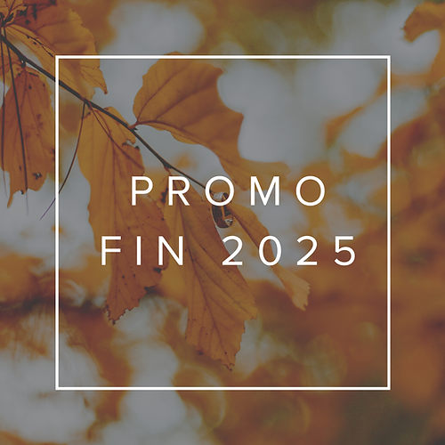Promo fin 2025.png