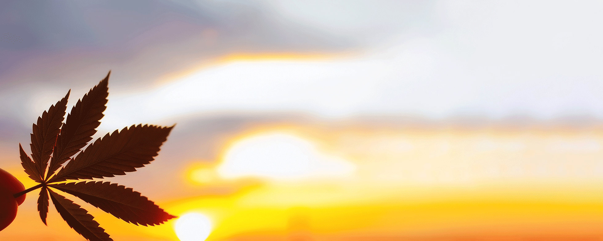 our-story-banner.gif