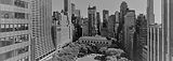 Skyline view of New York Public Library and Bryant Park