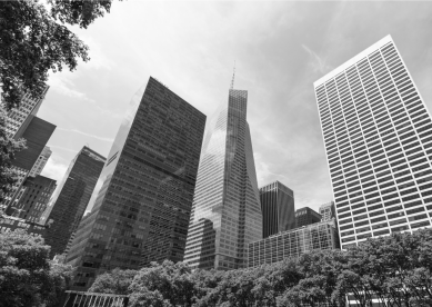 Black and white low angle view of city skyscrapers and trees.