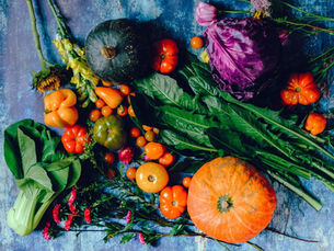 Garden to Table Fresh Culinary Delights