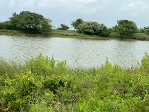 Education through Art: Artist Boat’s Founder and Executive Director Karla Klay’s Misson to Conserve and Educate