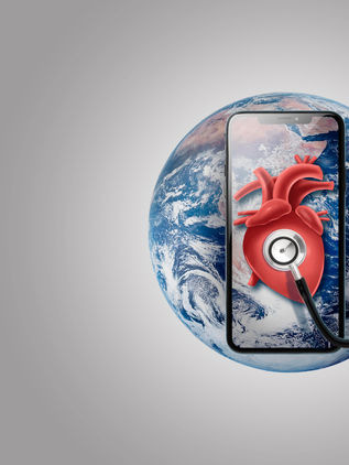 Role of Digital Healthcare in Combating Climate-Related Diseases